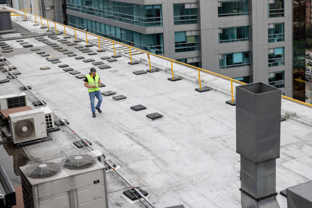 Best Roof Ventilation Installation  in Newport, TN