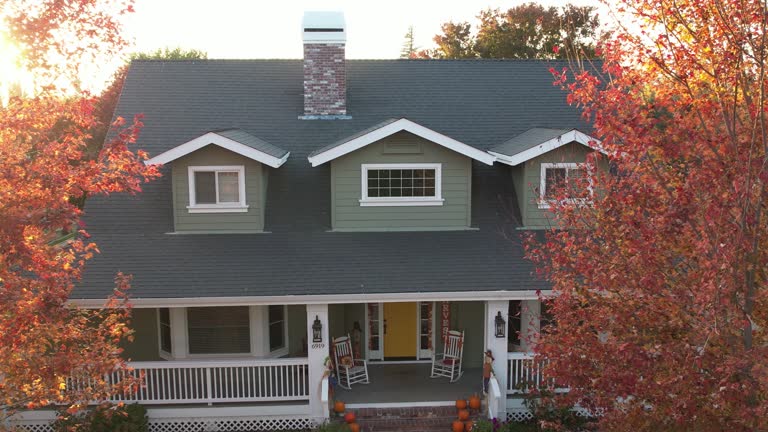Best Steel Roofing  in Newport, TN